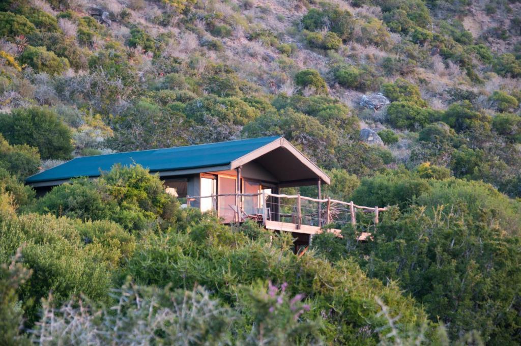 Hillsnek Safari Camp - محمية أماخالا الطبيعية الغرفة الصورة